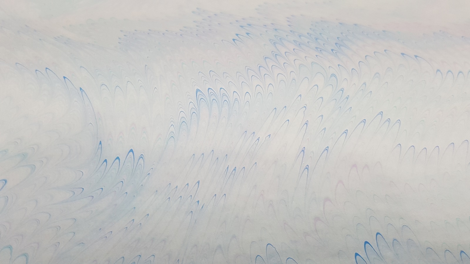 翎翠801