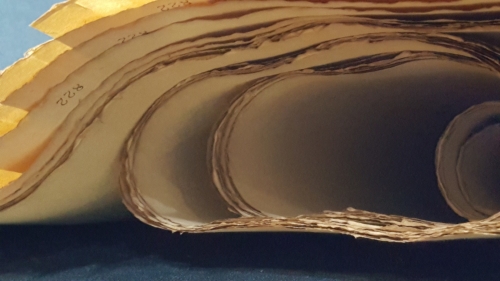 822金粟(如需觀看本產品高清圖片請至主選單相簿點選) 3